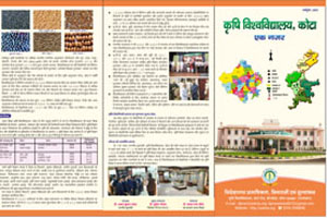 कृषि विश्वविद्यालय: एक नजर में