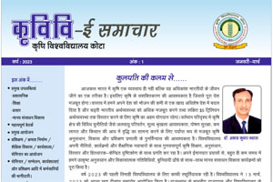 समाचार पत्रिकाएँ